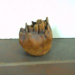 bulb2