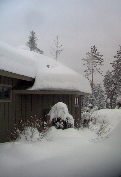 snowedin2