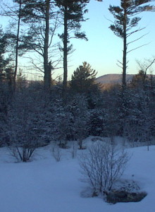 wintermorning copy